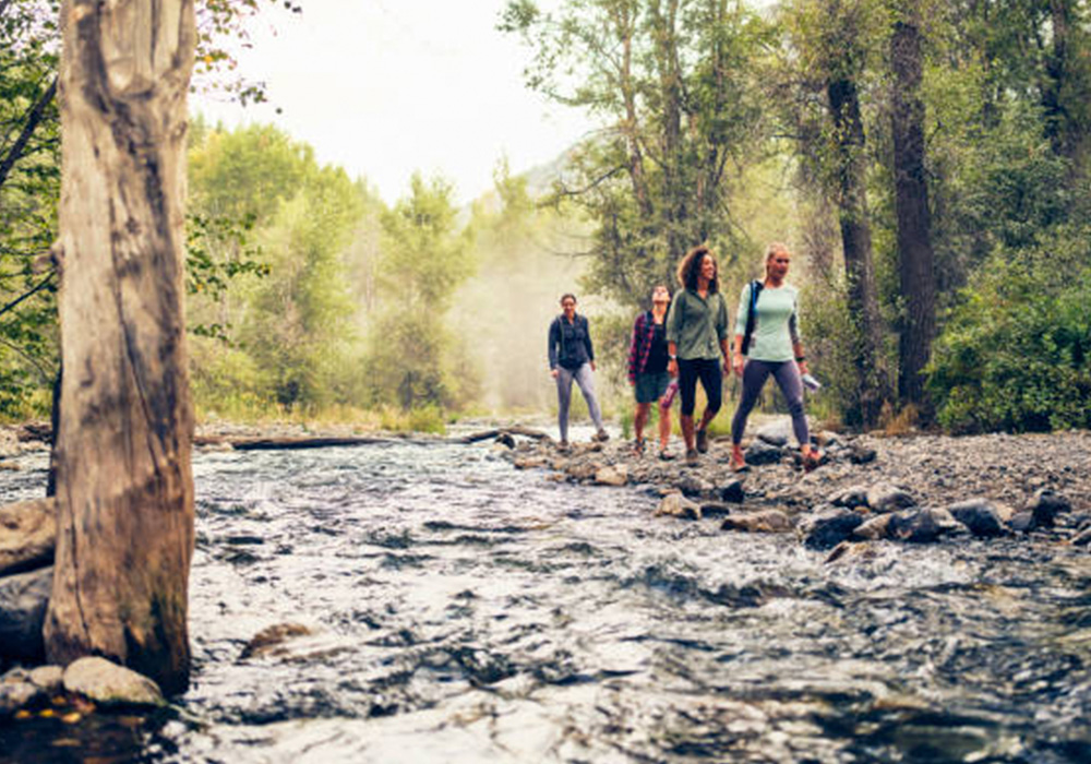 Guest/Wellness Program